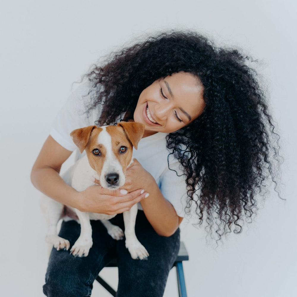 5 key steps on how to start a pet business