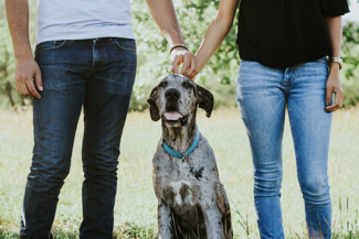 A couple with a dog as the target audience when you want to start a dog accessory business